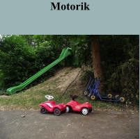 Motorik